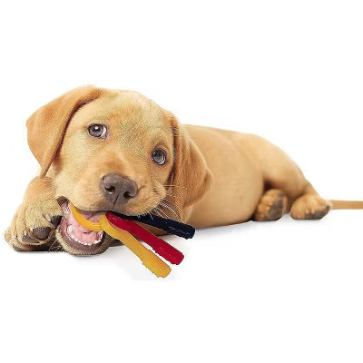 PUPPY TEETHING KEYS LRG