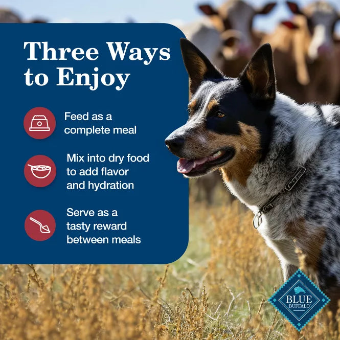 Blue Buffalo Homestyle Beef Recipe Canned Dog Food 12.5oz