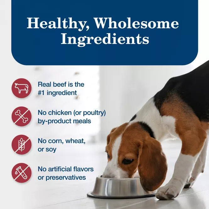 Blue Buffalo Homestyle Beef Recipe Canned Dog Food 12.5oz