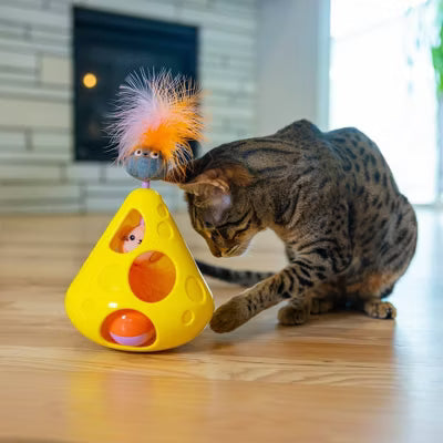 OWHMousin' Around Wobble Wedge