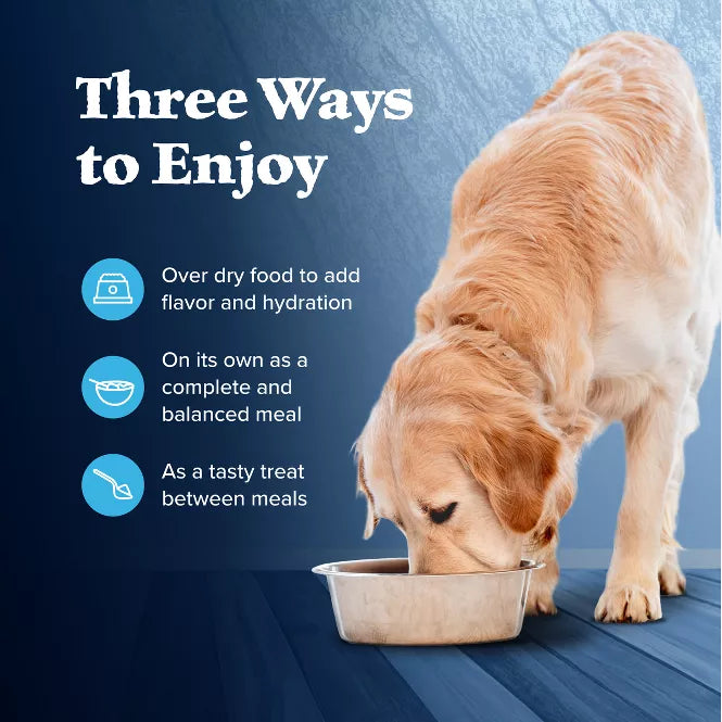 Blue Buffalo Wilderness High Protein Turkey & Chicken Canned Dog Food 12.5oz