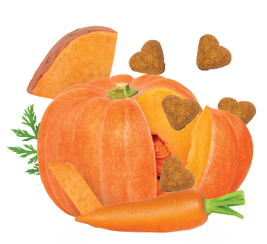 Darford Grain-Free Pumpkin & Vegetable Flavored Dog Biscuits 15lb