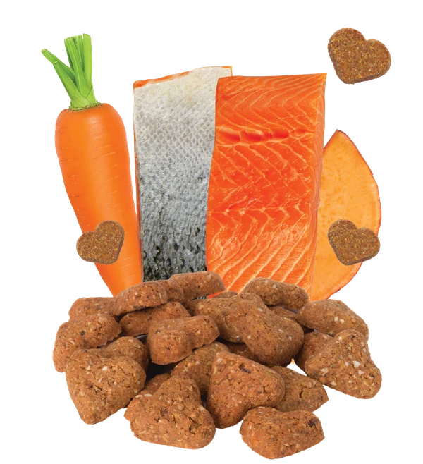 Darford Grain-Free Salmon & Vegetable Flavored Dog Biscuits 15lb