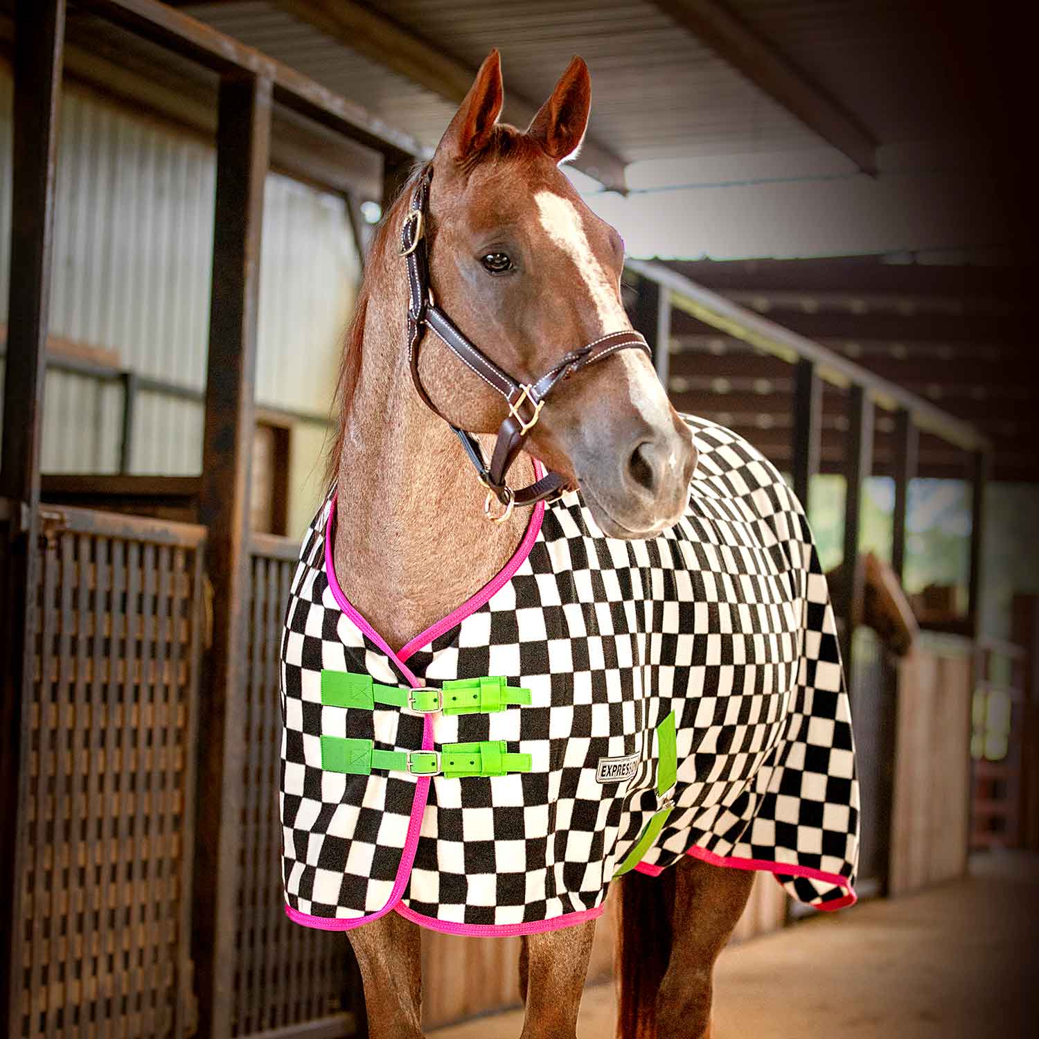 Expression Standard Neck Fleece Horse Cooler