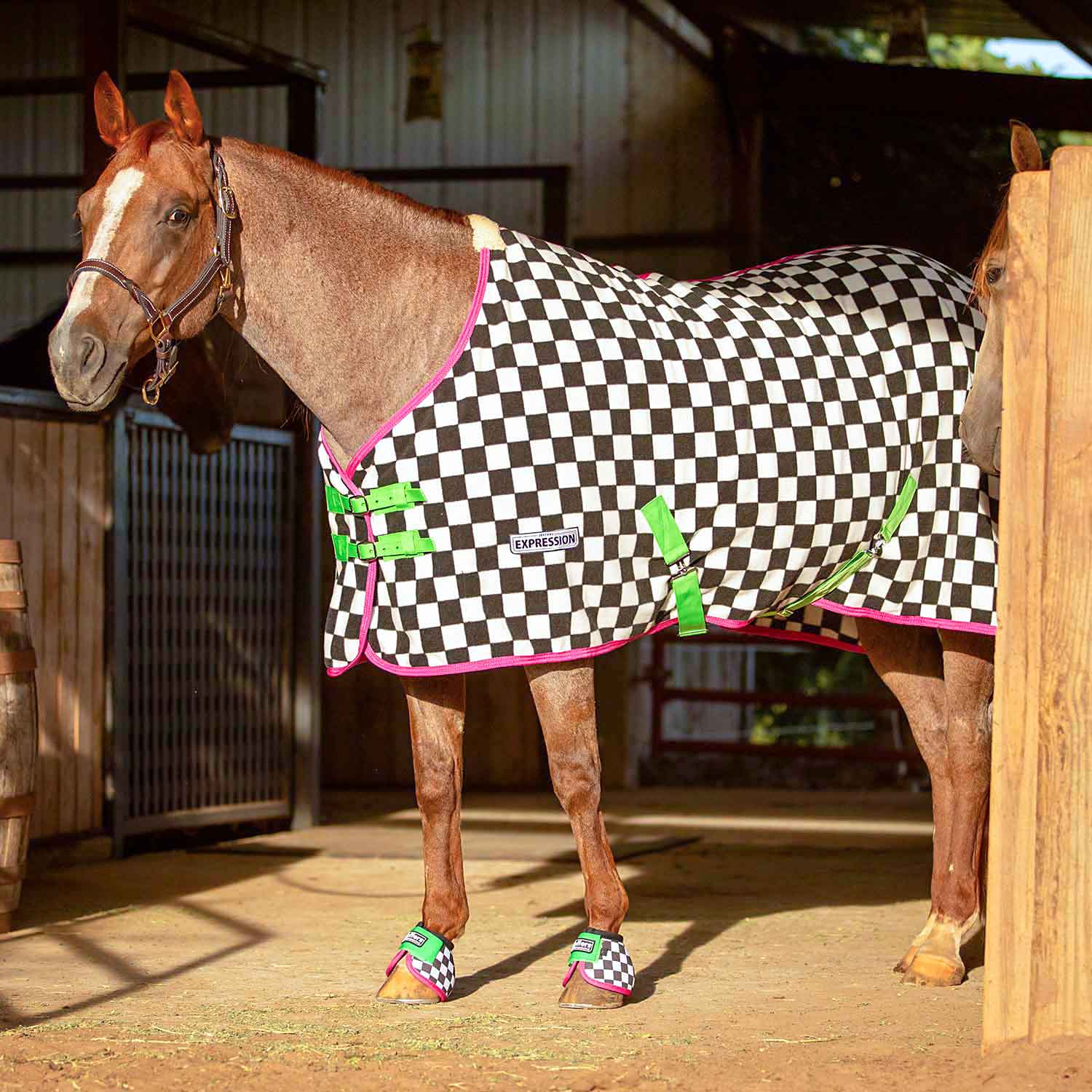 Expression Standard Neck Fleece Horse Cooler