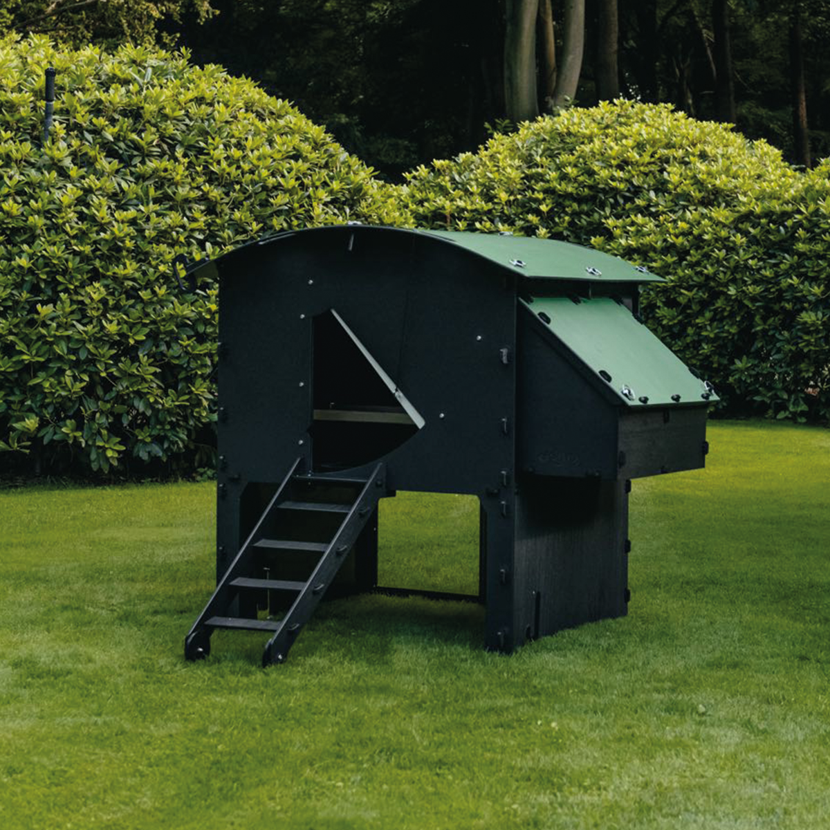 Chicken Coop