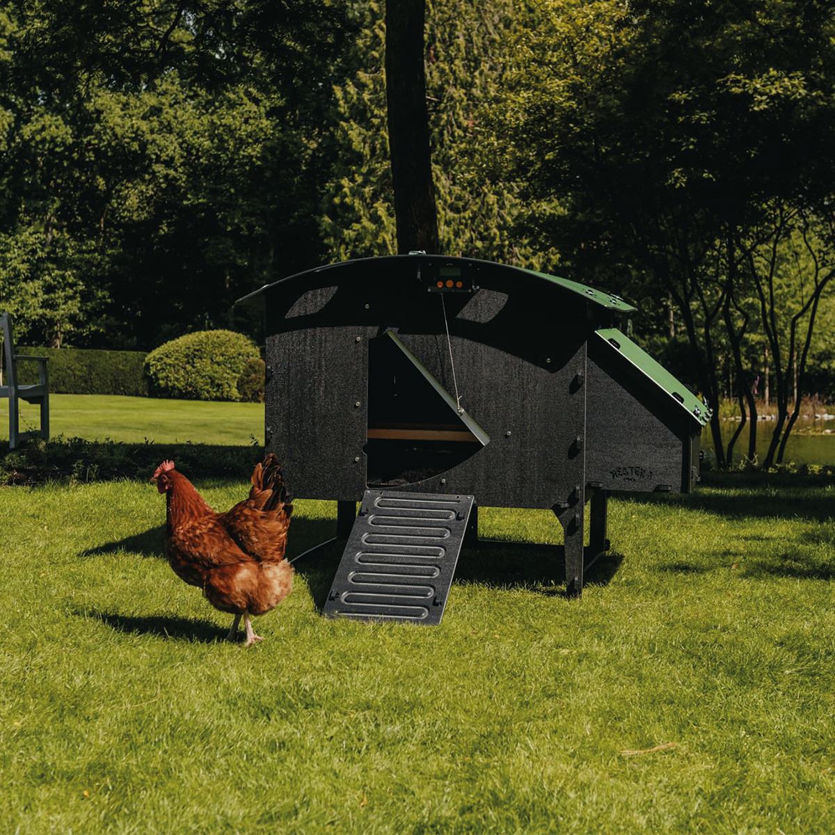 Chicken Coop