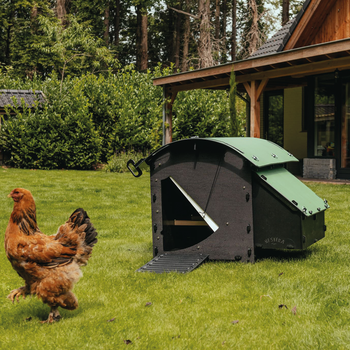 Chicken Coop