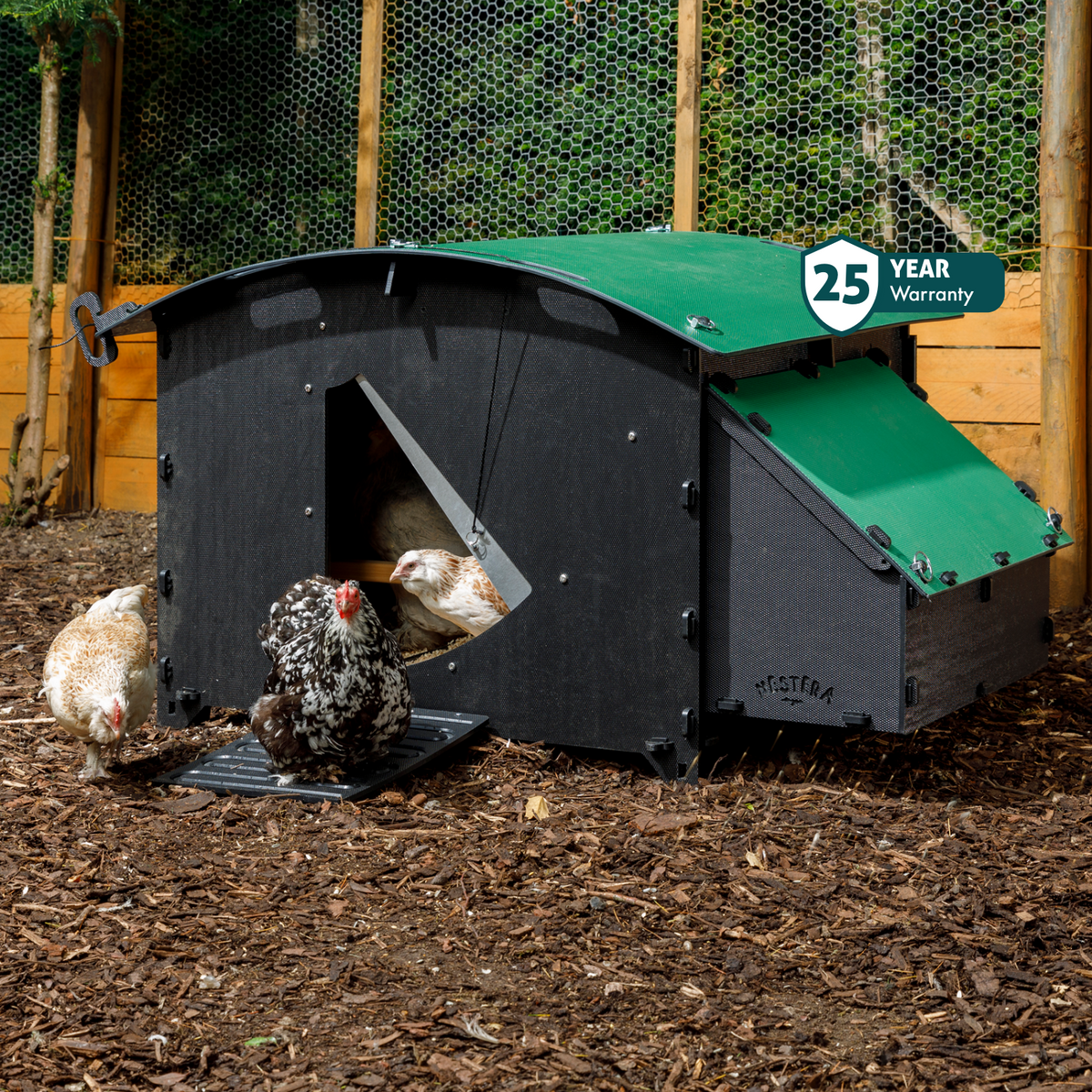Chicken Coop