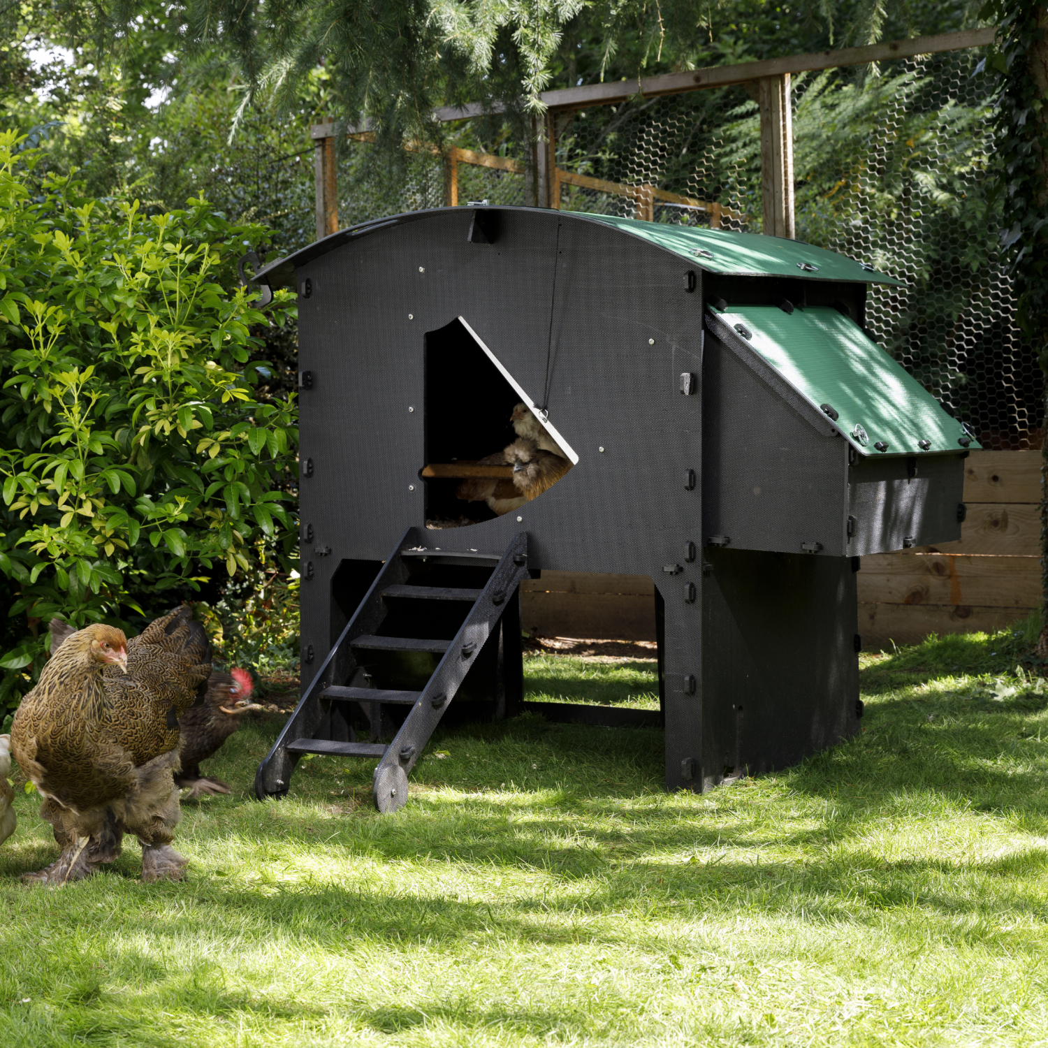 Chicken Coop