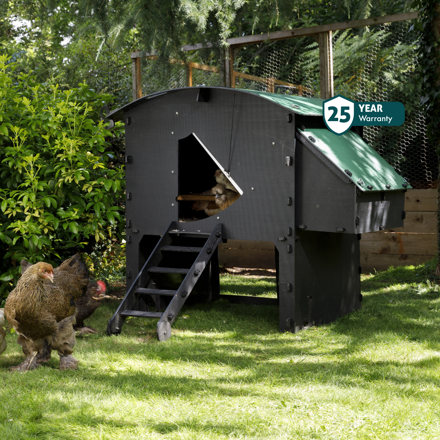 Chicken Coop