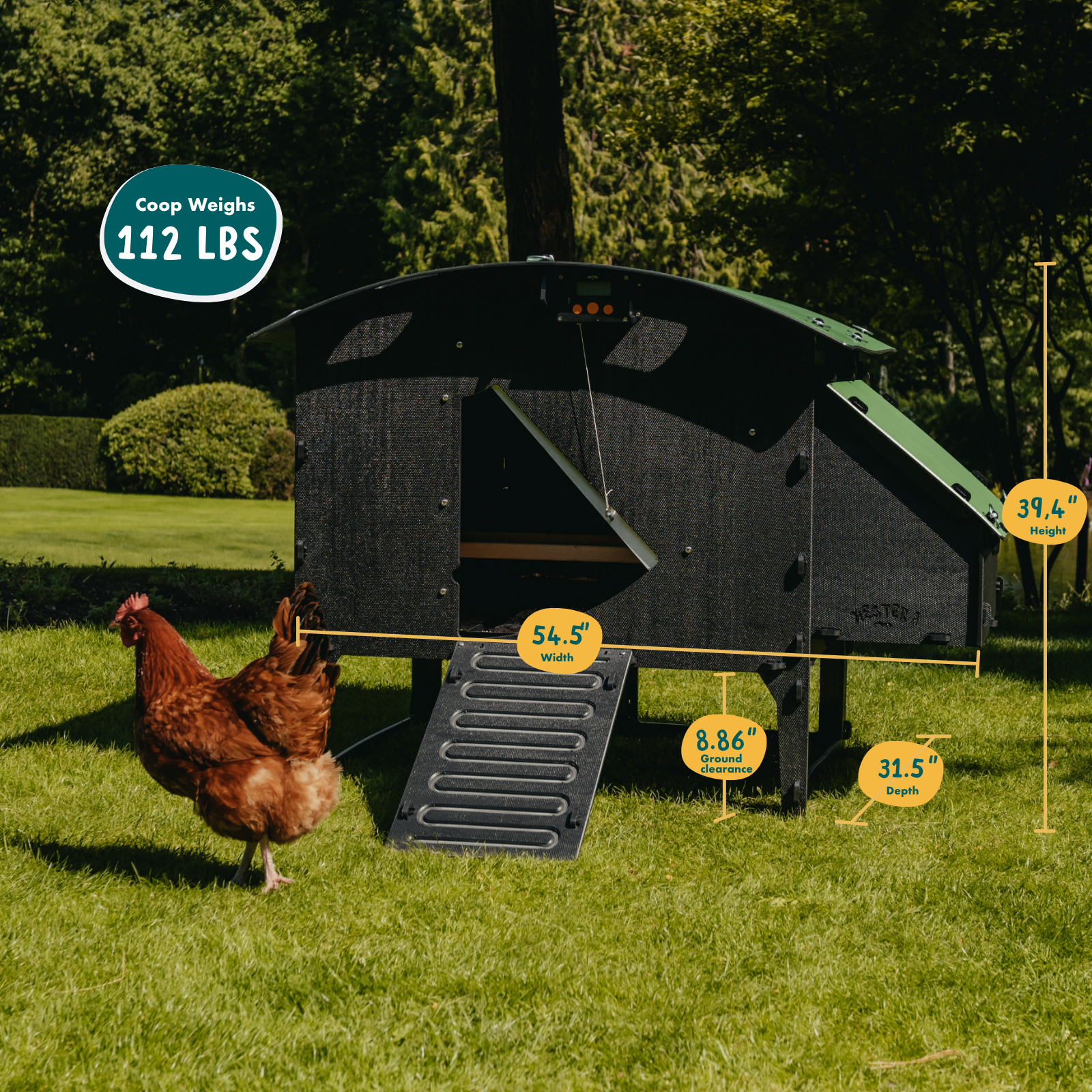 Chicken Coop