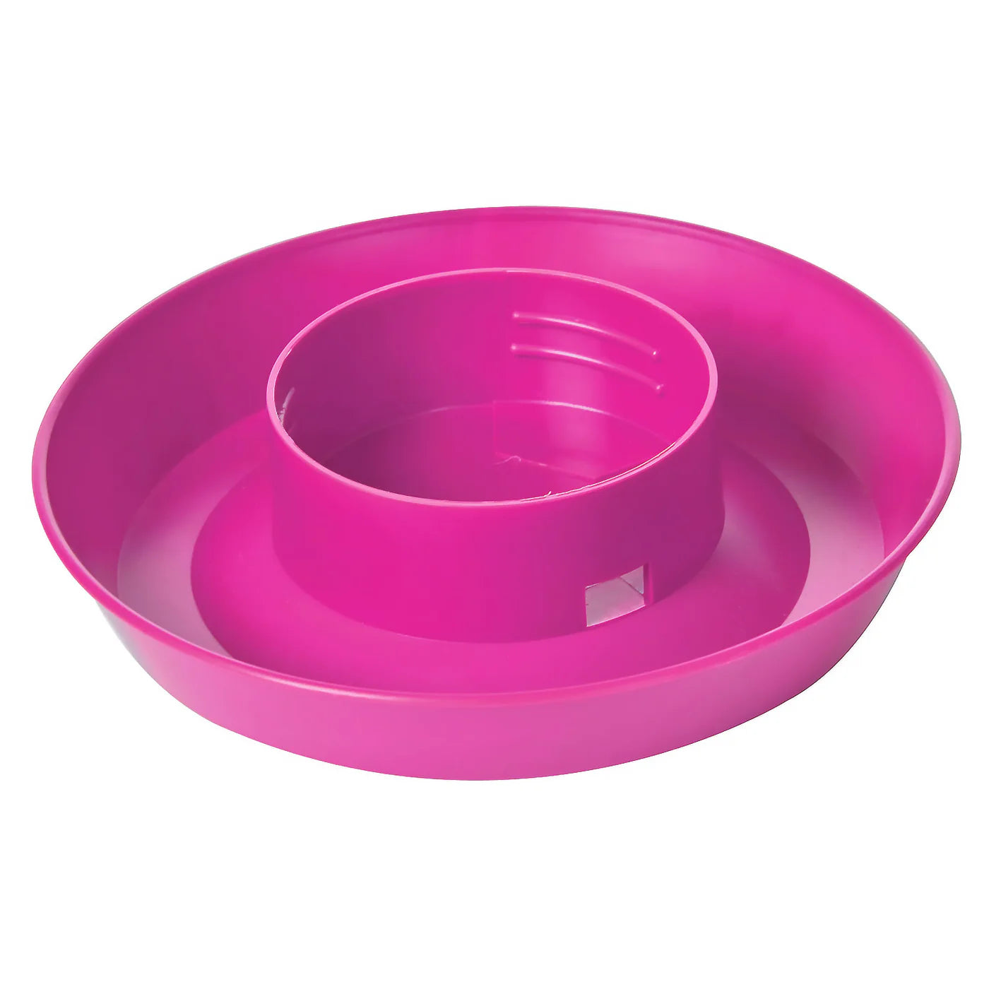 Little Giant  Chick Waterer Base Pink 1 QT