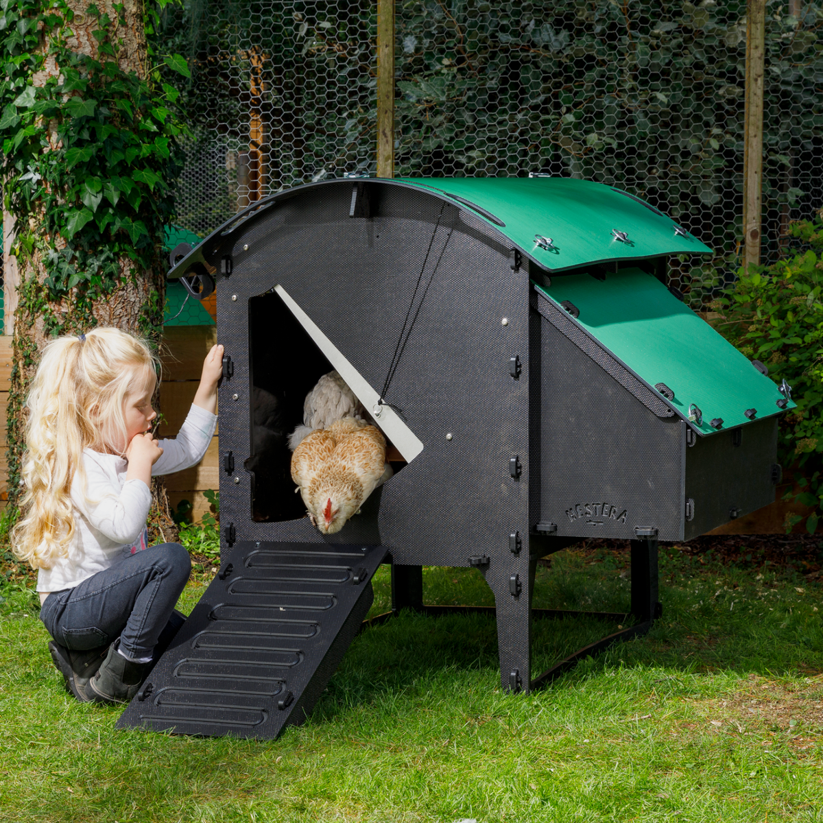 Chicken Coop