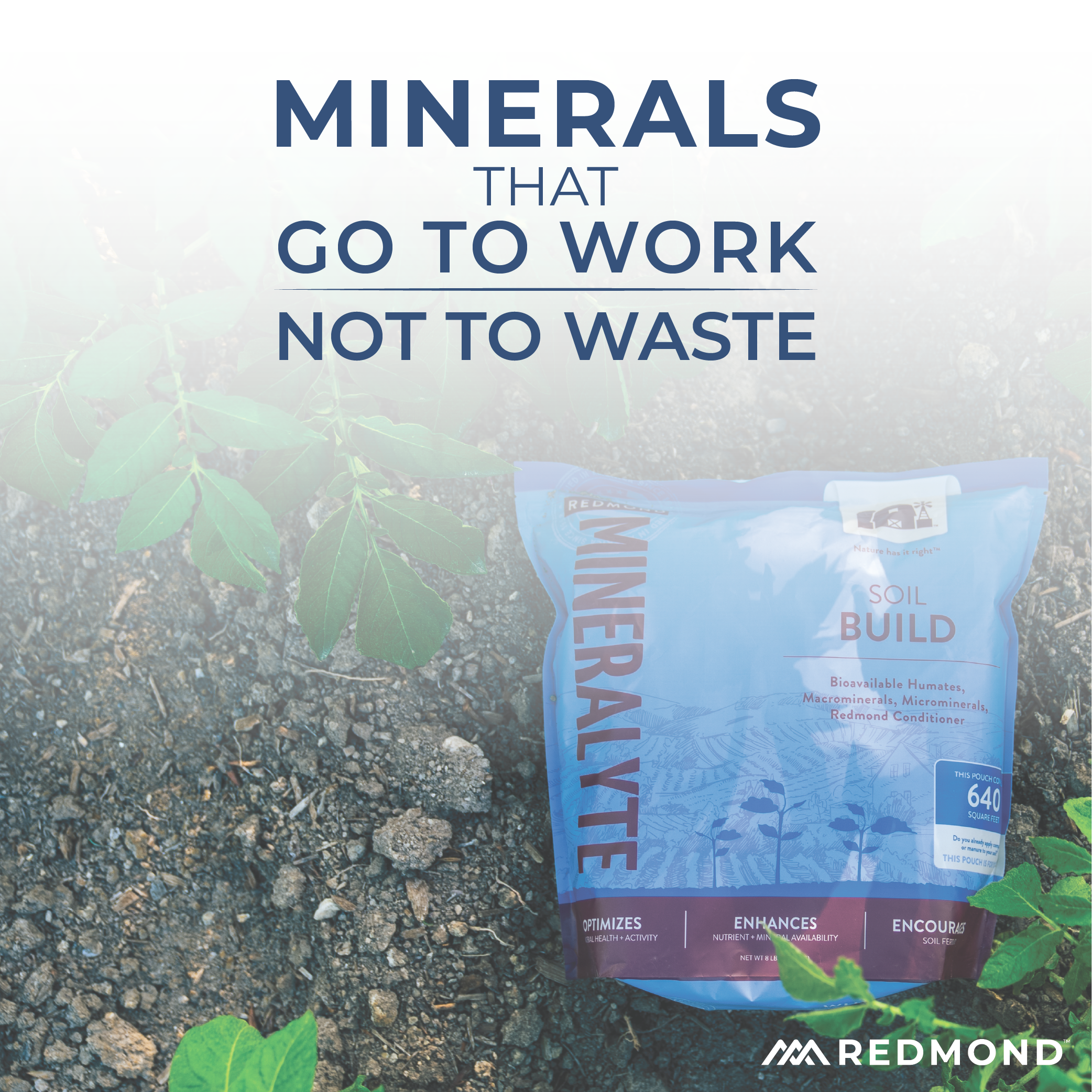 Mineralyte Soil Amendments