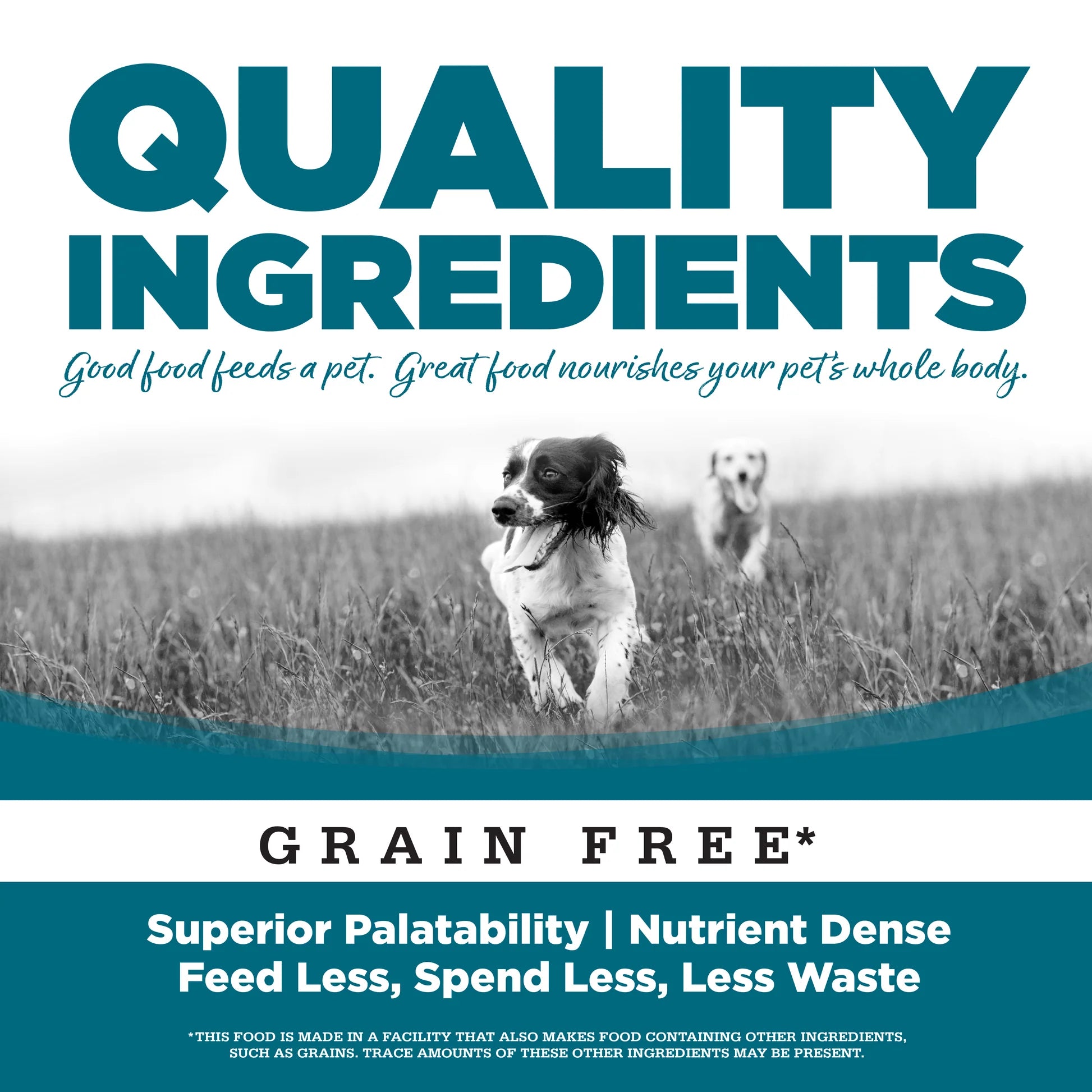 NutriSource Grain Free Chicken Recipe Canned Dog Food 13oz