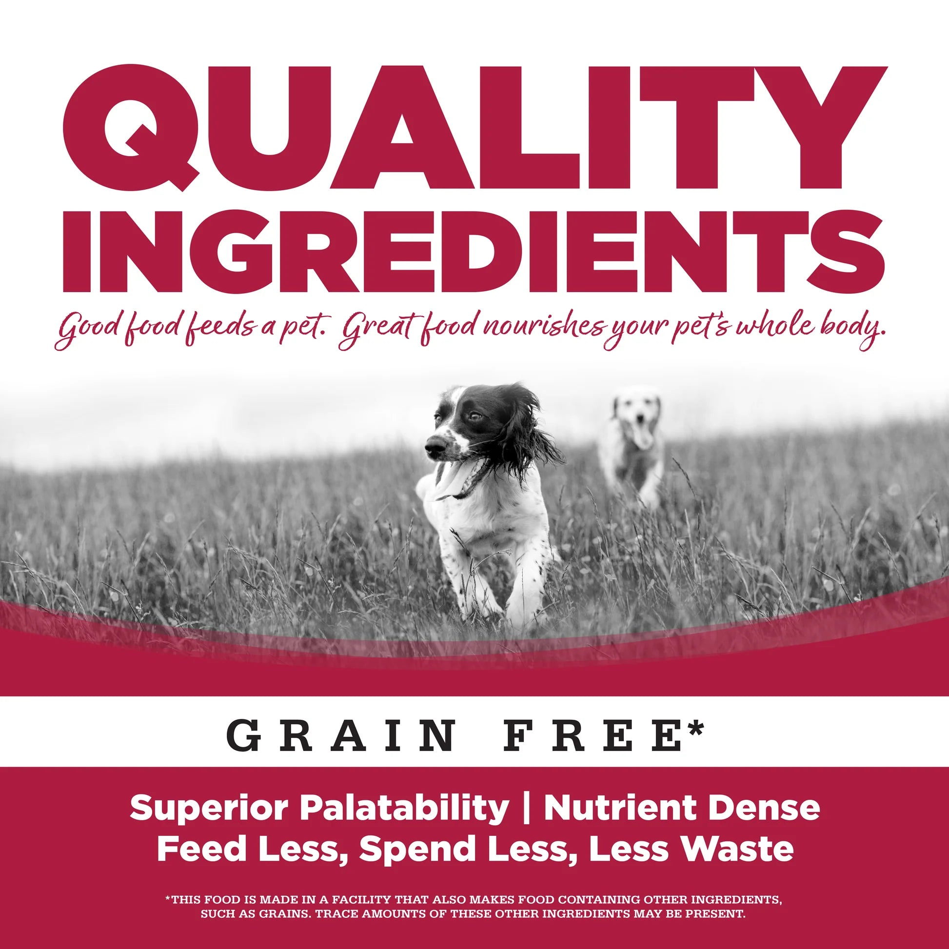 NutriSource Grain Free Seafood Select Canned Dog Food 13oz