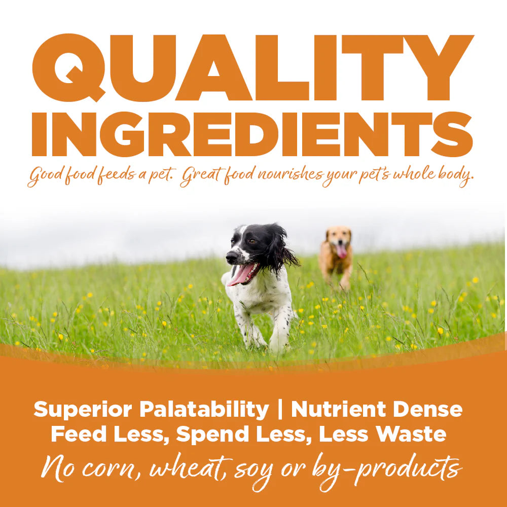 NutriSource Lamb & Rice Canned Dog Food 13oz