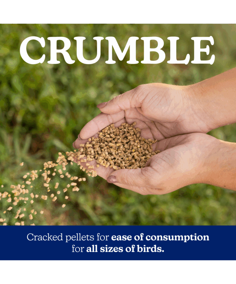 Nutena NatureWise Meatbird Start to Finish 22% Crumble 40lb