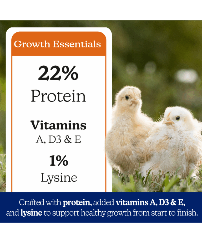 Nutena NatureWise Meatbird Start to Finish 22% Crumble 40lb