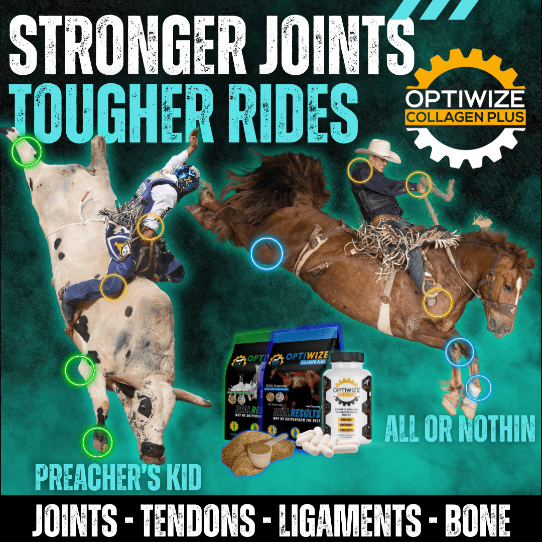 OptiWize Collagen +Plus Horse Joint Supplement
