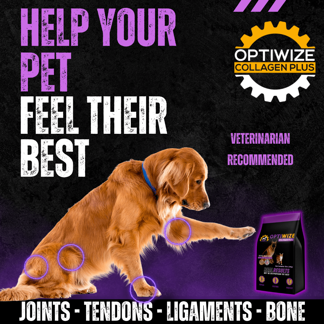 OptiWize Collagen +Plus Dogs and Cat Joints Health Supplement