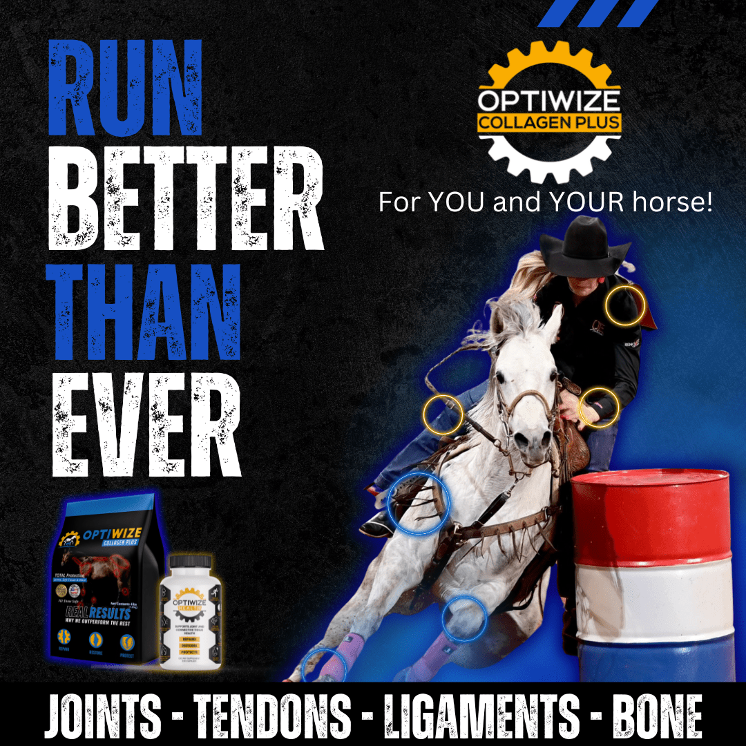 OptiWize Collagen +Plus Horse Joint Supplement