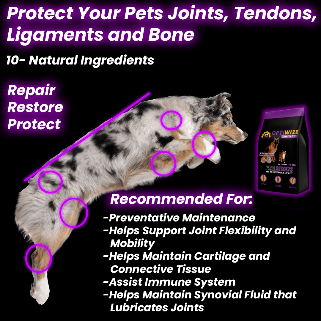 OptiWize Collagen +Plus Dogs and Cat Joints Health Supplement