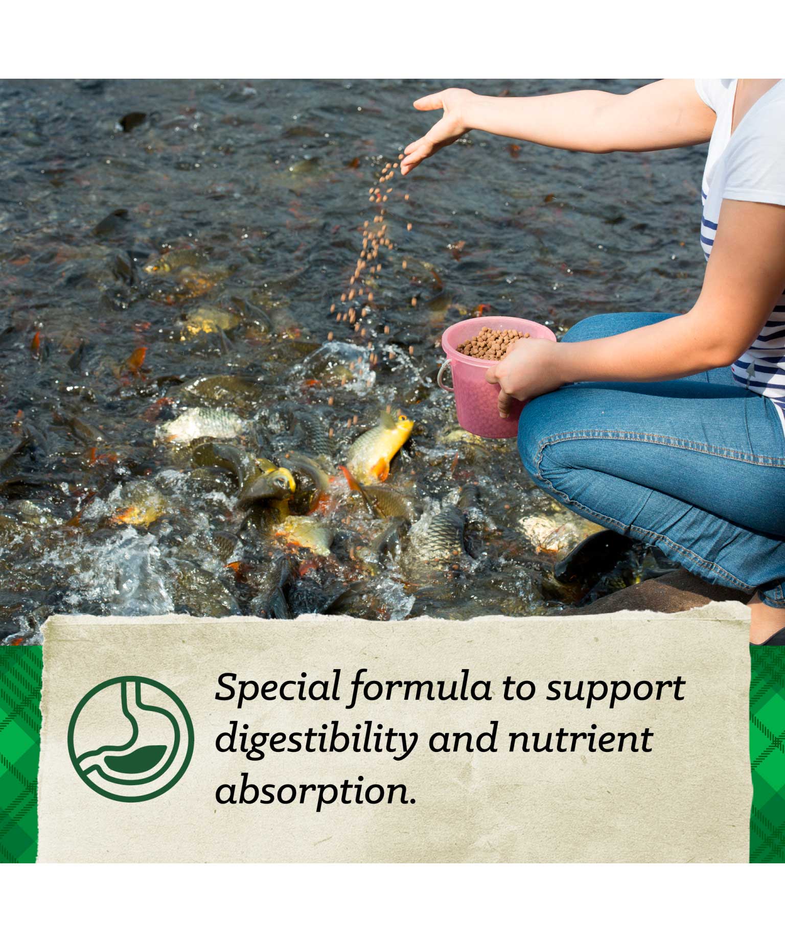 Nutrena Floating Pond & Catfish Food 40lb