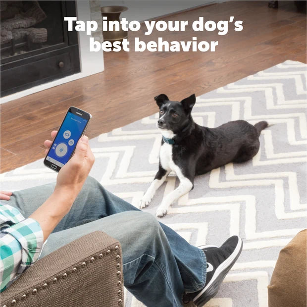 PetSafe Smart Dog Remote Trainer 75 yards