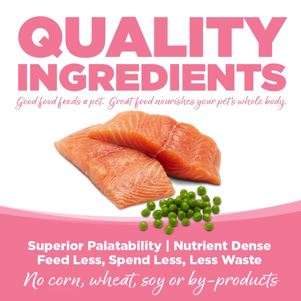 NutriSource Grain Free All Life Stages Salmon & Peas Recipe Dry Cat Food 2.2lb