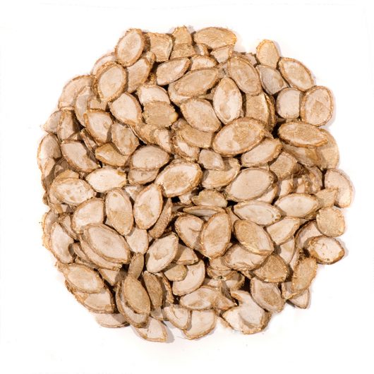 Chuckanut Premium Squirrel Food 3lb