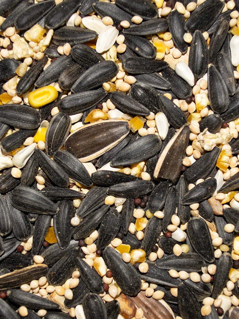 Volkman Premium Superior Blend Wild Bird Seed 20#