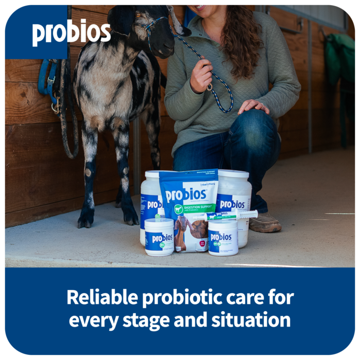 Probios® Digestion Support Soft Chews for Goats 1.3lb