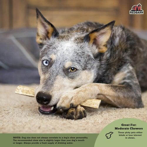 RBP TREAT ANTLER CENTER CUT MD