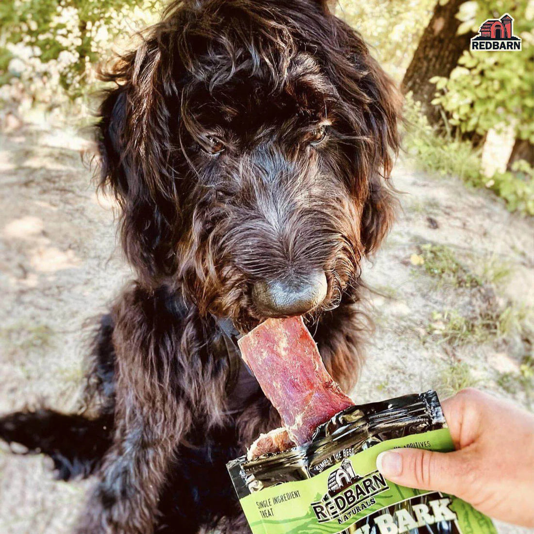 Redbarn Medium Beef Jerky 6pk