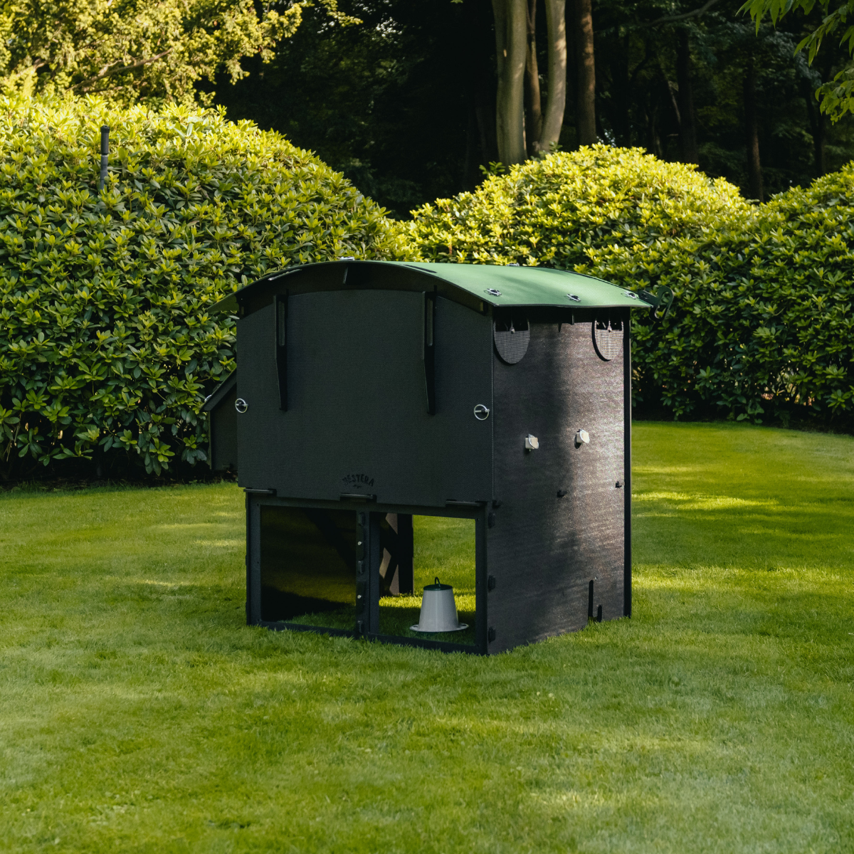 Chicken Coop