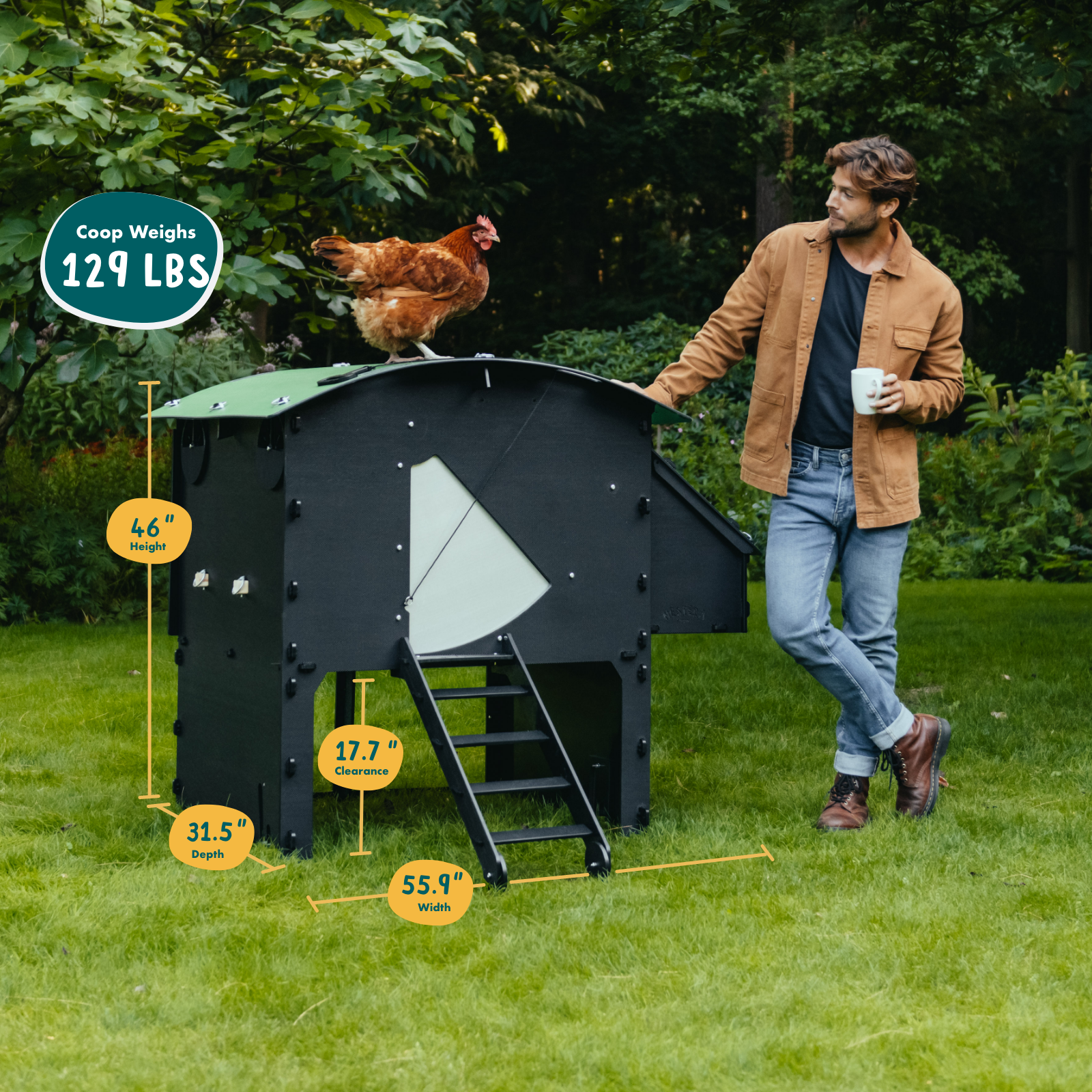 Chicken Coop