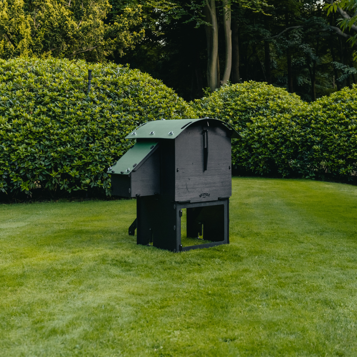 Chicken Coop