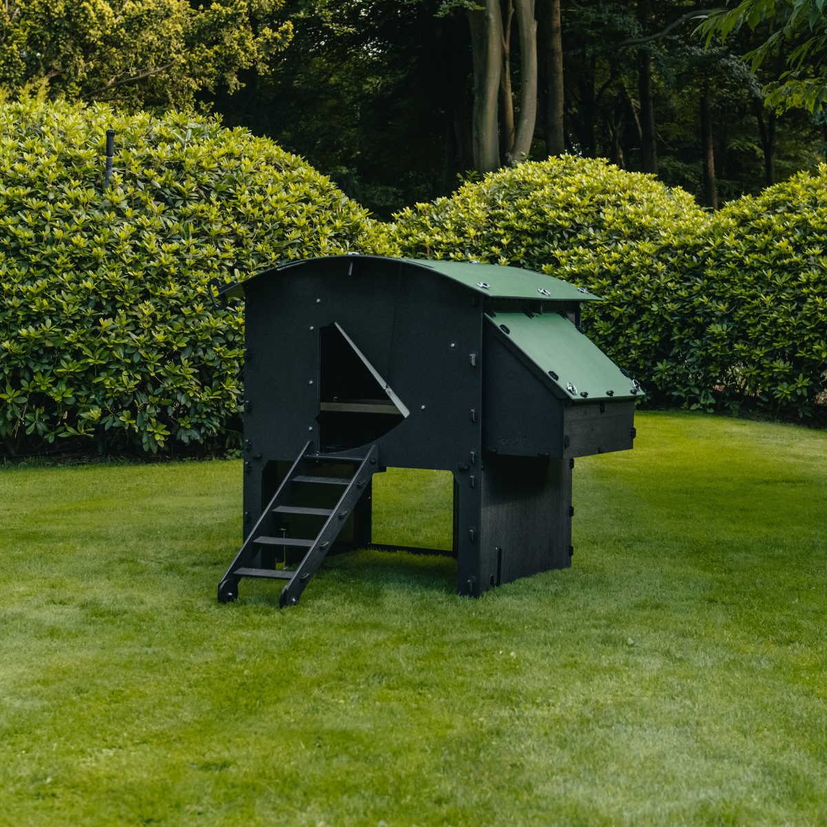 Chicken Coop