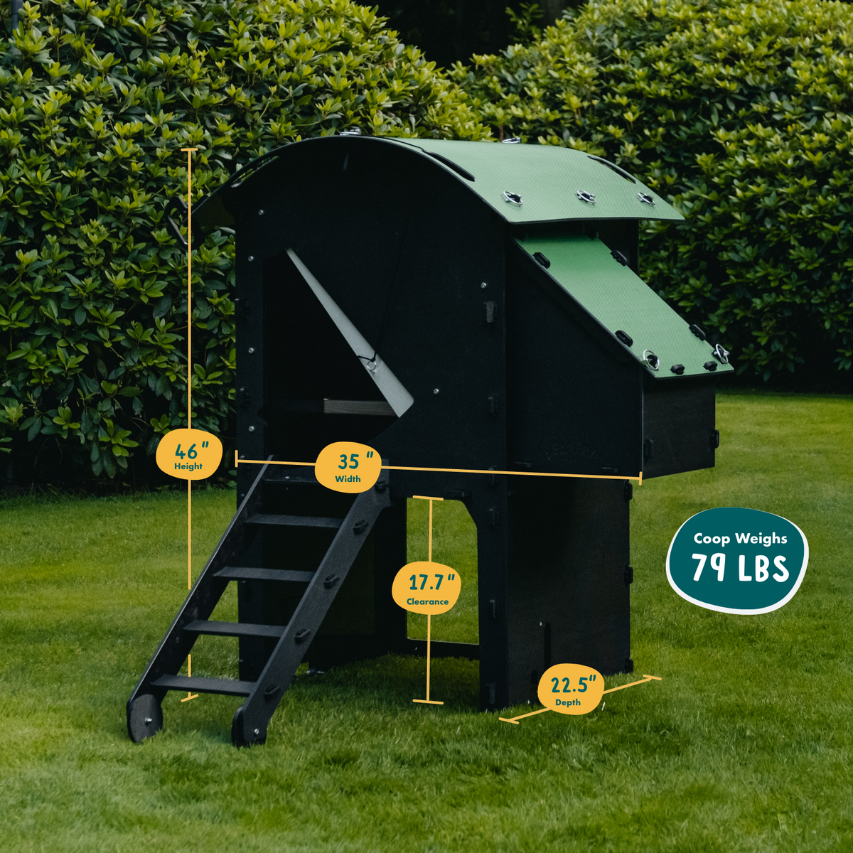 Chicken Coop