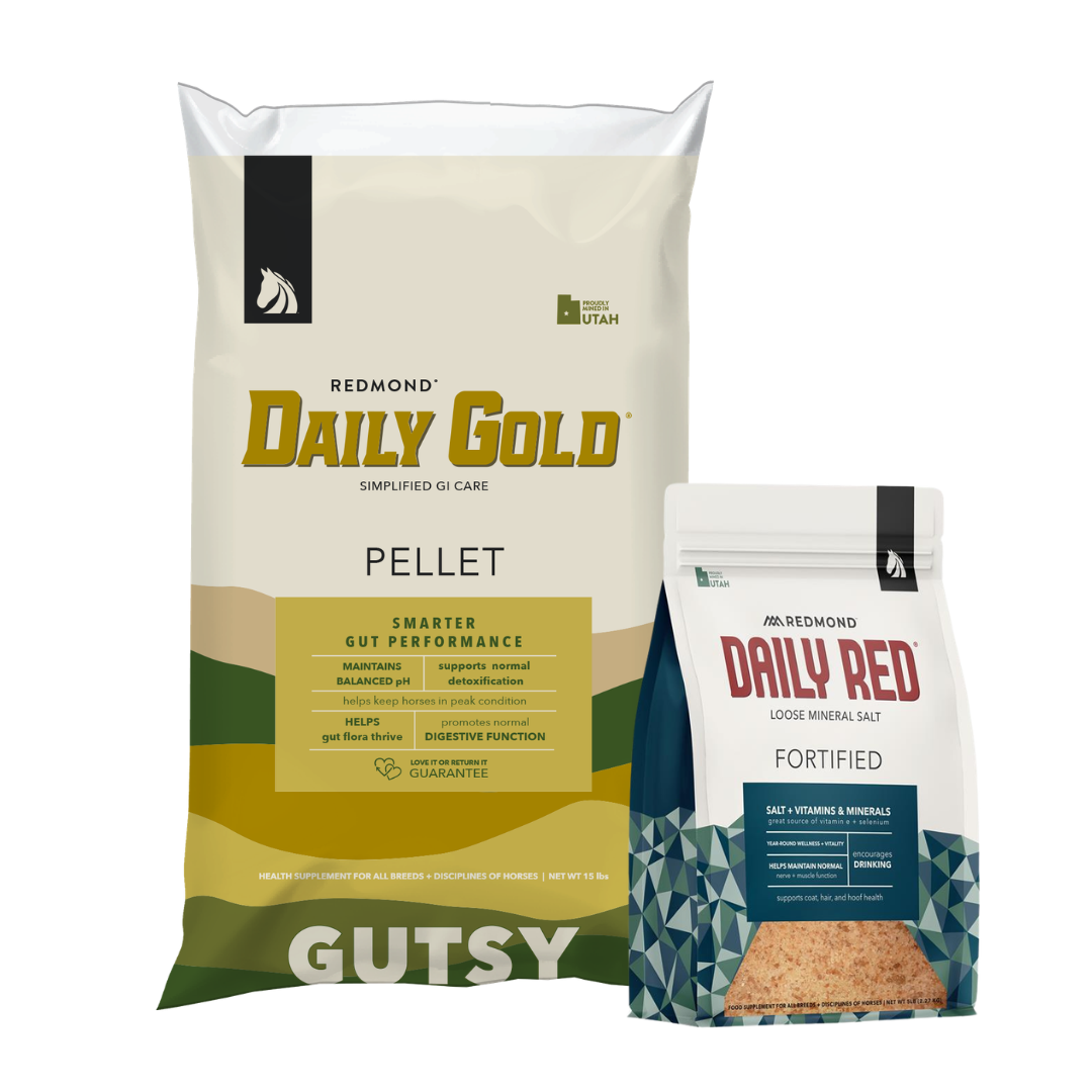 The Daily Duo
