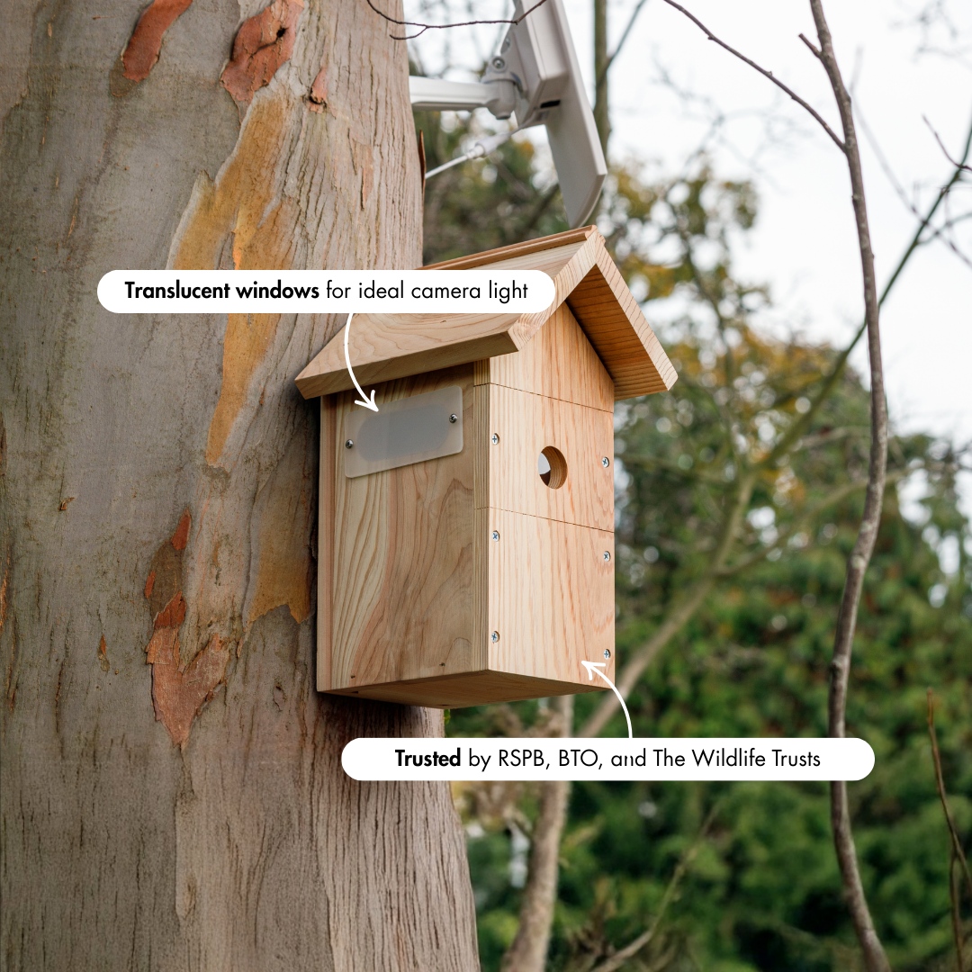 WiFi Battery Bird House Camera with Solar Panel