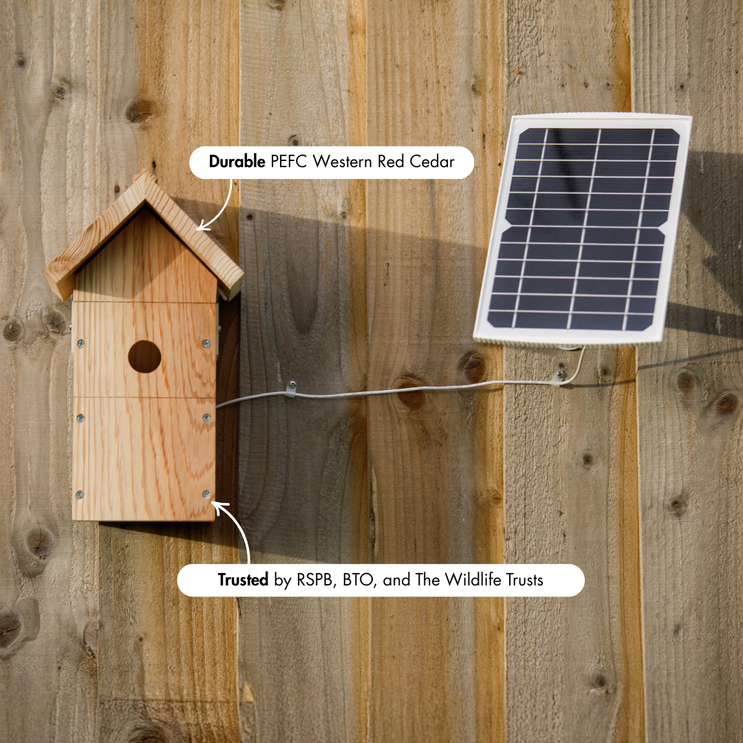 WiFi Battery Bird House Camera with Solar Panel