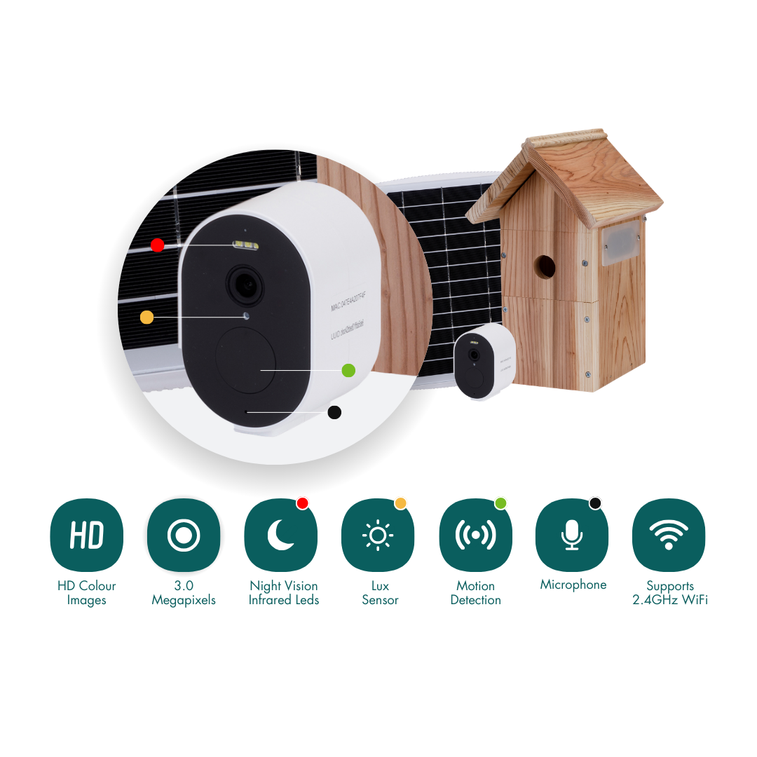 WiFi Battery Bird House Camera with Solar Panel
