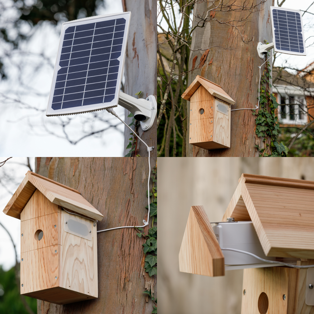 WiFi Battery Bird House Camera with Solar Panel