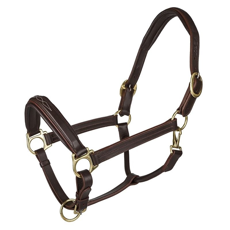 Oak Equestrian brand Fancy Stitched Square Raised Halter