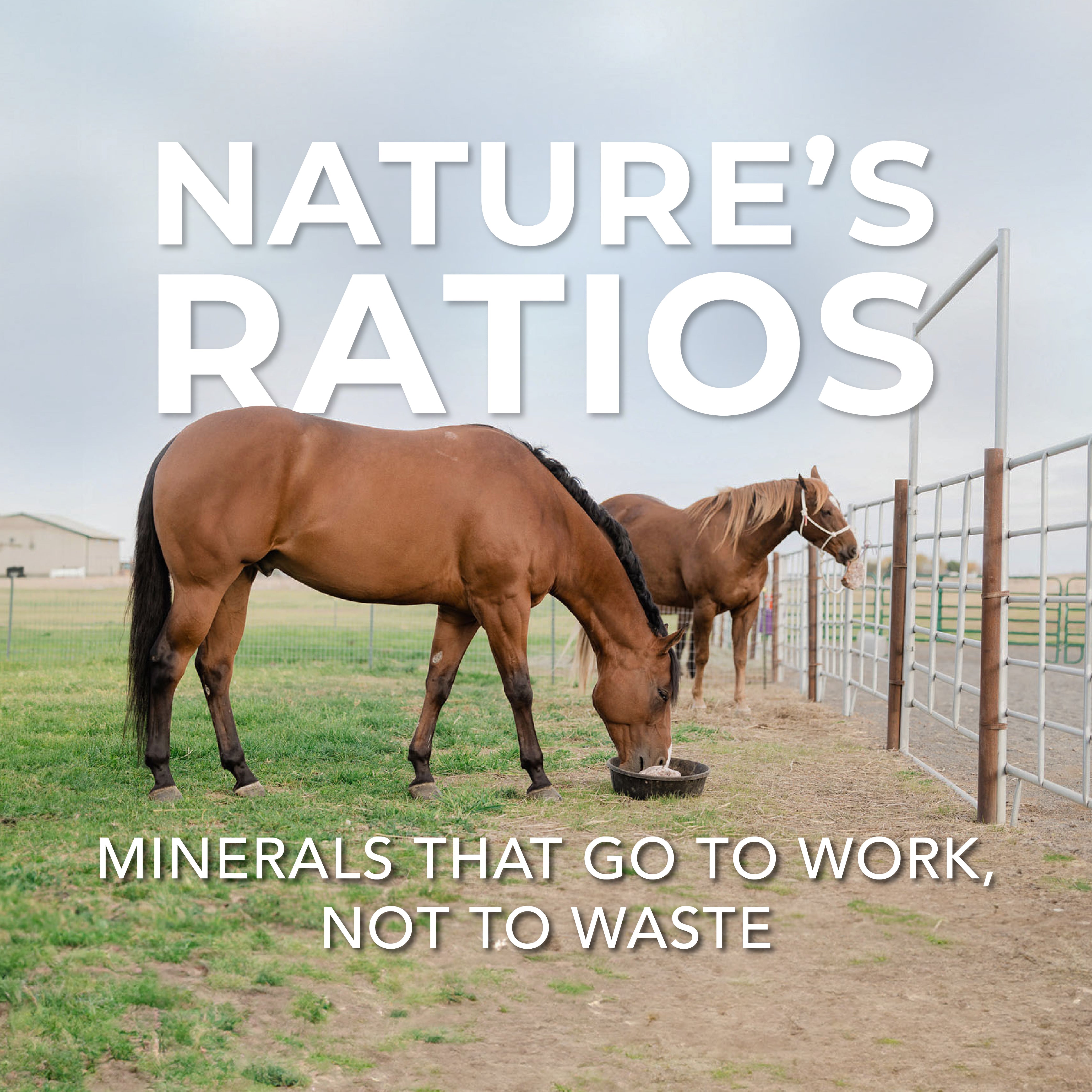 Redmond Rock® - Mined Horse Salt Lick