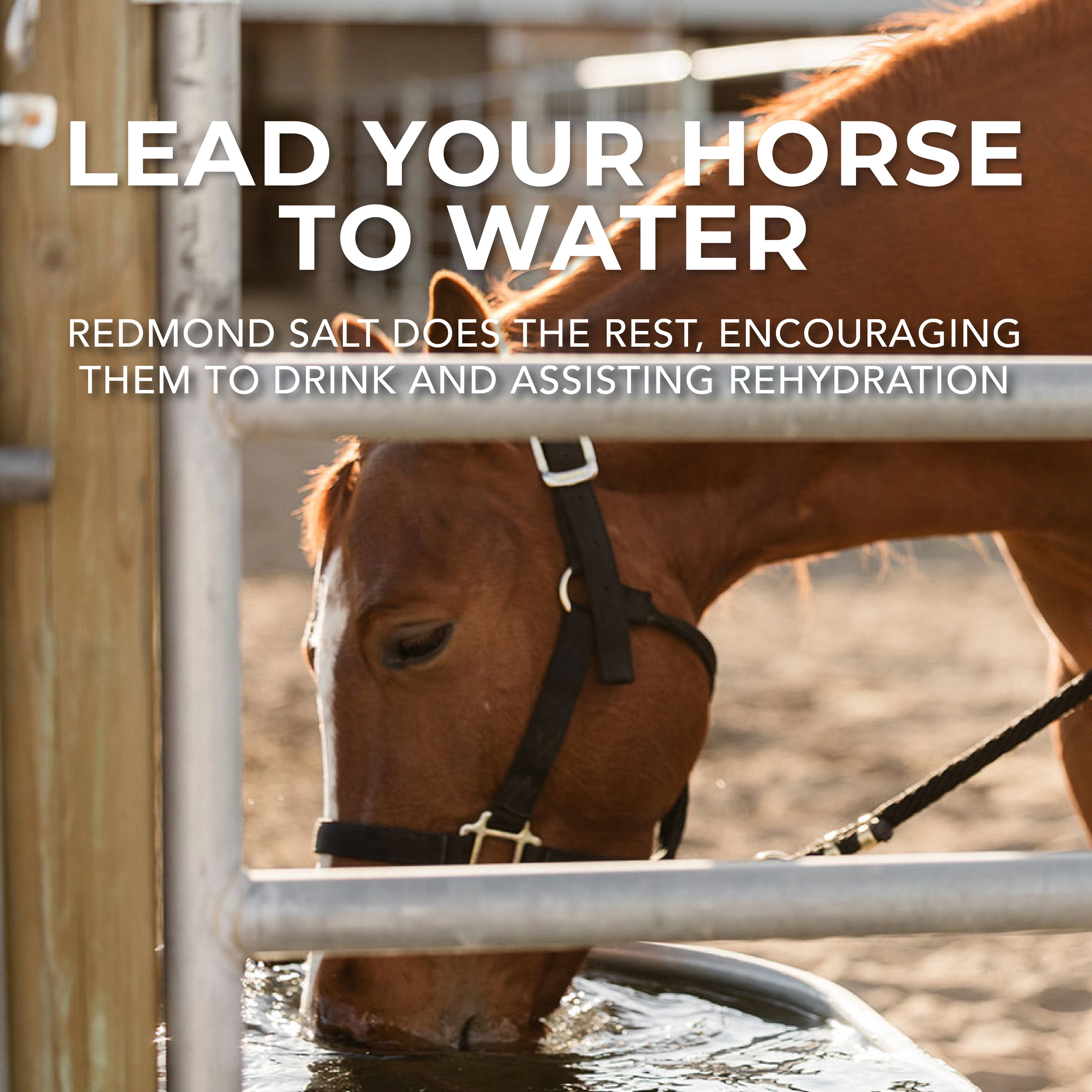 Redmond Rock® - Mined Horse Salt Lick