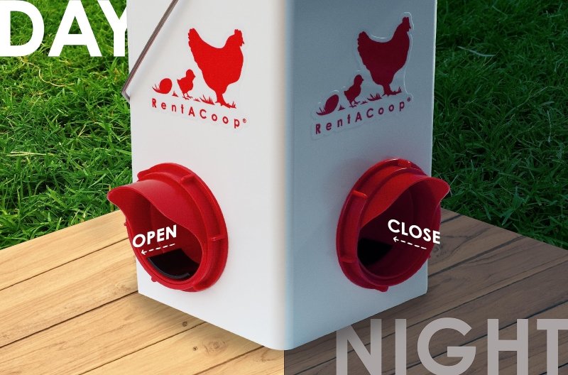 5lb Chick2Chicken BPA-Free 1-Port Chicken Feeder